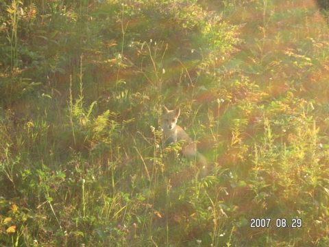 s_PICT0509.jpg